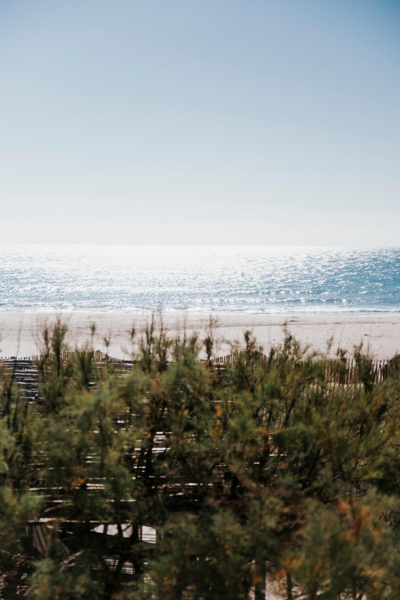 Mas Andalou Fabuleuse Premiere Ligne De Mer, Plage Privative 프롱티냥 외부 사진