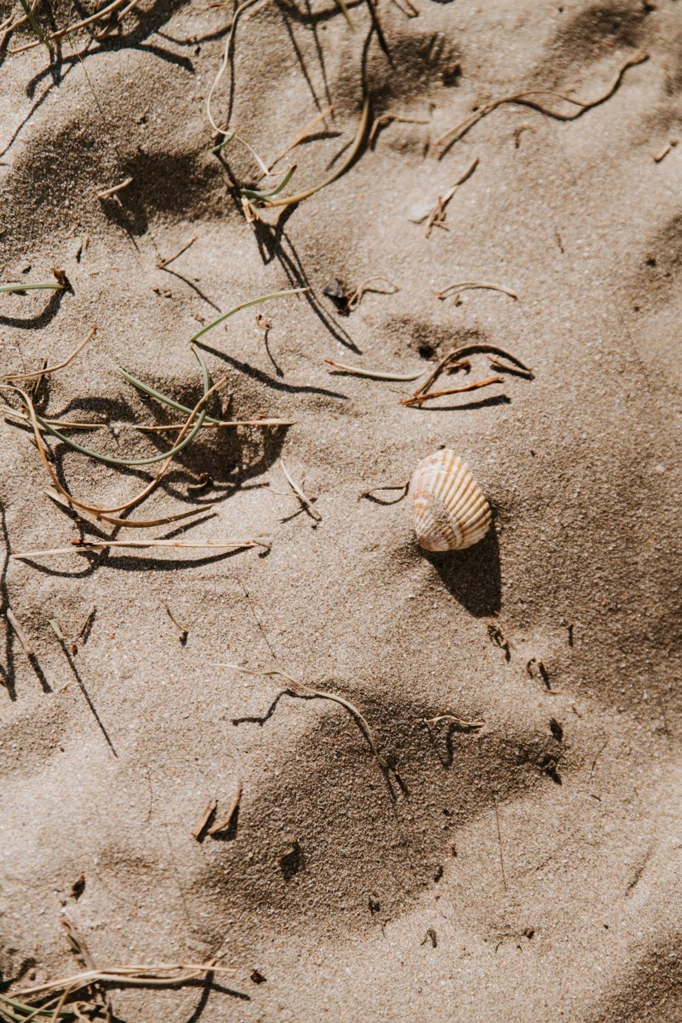 Mas Andalou Fabuleuse Premiere Ligne De Mer, Plage Privative 프롱티냥 외부 사진